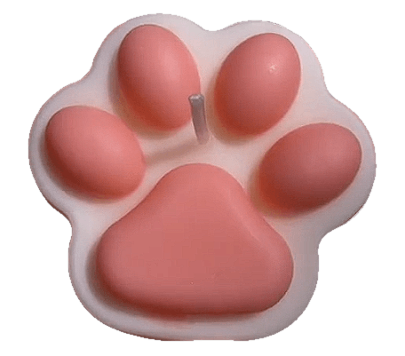 Recordatorio Patita de Perro